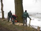 Verwijderen bomen 11